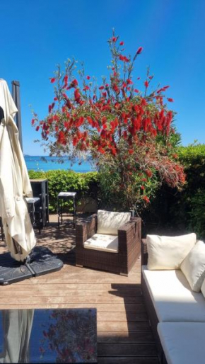 Superbe Appartement-villa, Palm Beach - Face à la mer